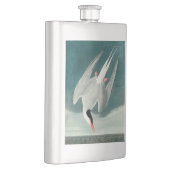 Arctic Tern Audubon Bird Wildlife Painting Flacon (Rechts)