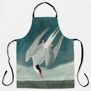 Arctic Tern Audubon Bird Wildlife Painting Schort