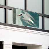 Arctic Tern Audubon Bird Wildlife Painting Spandoek (Buitenkant Gebouw)