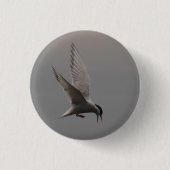 Arctic Tern Badge Ronde Button 3,2 Cm (Voorkant)