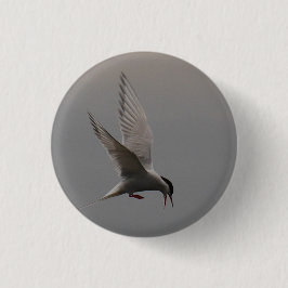 Arctic Tern Badge Ronde Button 3,2 Cm