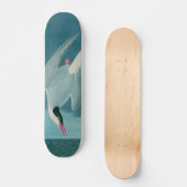 Arctic Tern Birds of America Audubon Print Skateboard (Voorkant)