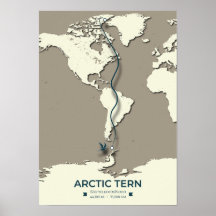 Arctic Tern Migration Map - Minimalistische Vintag