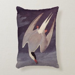 Arctic Tern van John James Audubon, vogels Accent Kussen