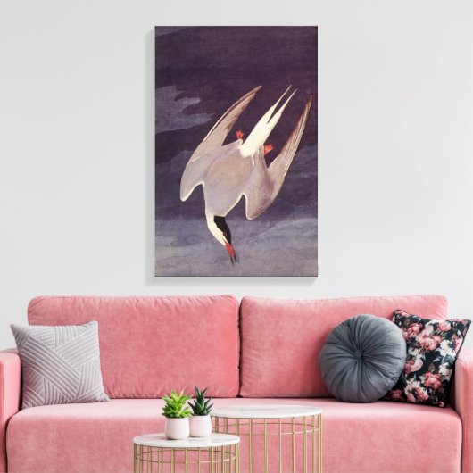 Arctic Tern van John James Audubon,  vogels Canvas Afdruk (Insitu (Woonkamer))
