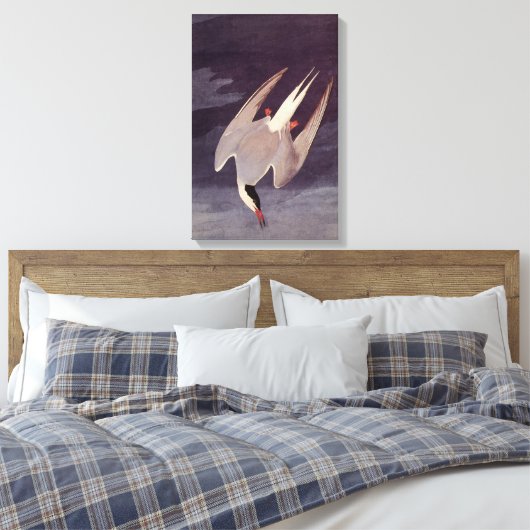 Arctic Tern van John James Audubon,  vogels Canvas Afdruk (Insitu (Slaapkamer))