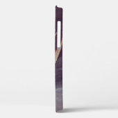 Arctic Tern van John James Audubon,  vogels Case-Mate iPhone Case (Achterkant / Links)