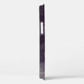 Arctic Tern van John James Audubon,  vogels Case-Mate iPhone Case (Achterkant / Rechts)