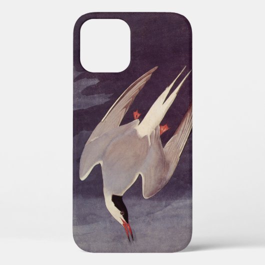 Arctic Tern van John James Audubon,  vogels Case-Mate iPhone Case (Achterkant)