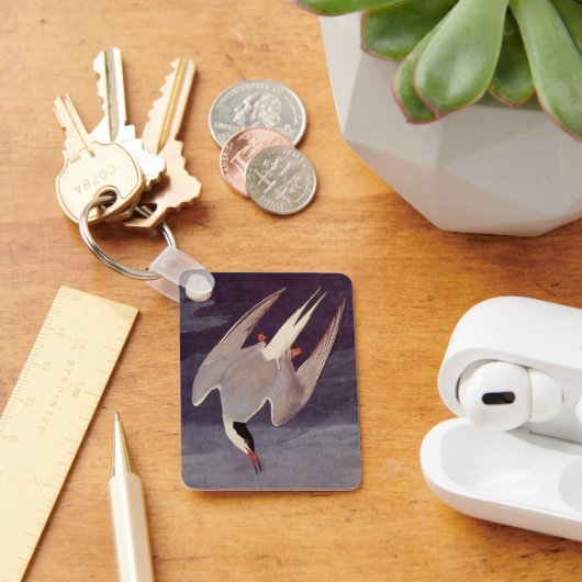 Arctic Tern van John James Audubon,  vogels Sleutelhanger (Bureau)