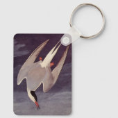 Arctic Tern van John James Audubon,  vogels Sleutelhanger (Achterkant)