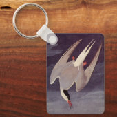 Arctic Tern van John James Audubon,  vogels Sleutelhanger (Voorkant)