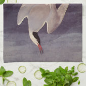 Arctic Tern van John James Audubon,  vogels Theedoek (Gevouwen)