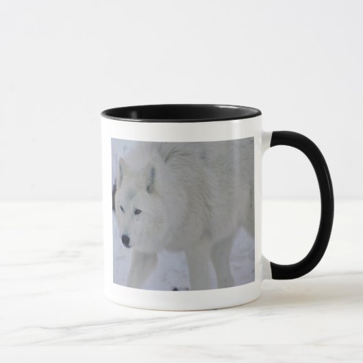 Arctic Wolf Mok (Rechts)