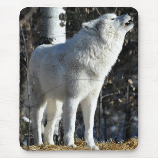 Arctic Wolf Muismat
