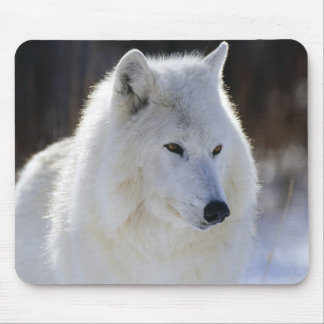 Arctic Wolf Muismat