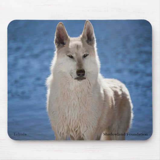 Arctic Wolf Muismat (Voorkant)