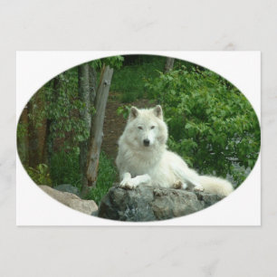 Arctic Wolf-uitnodiging Kaart