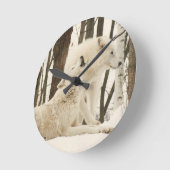 Arctic Wolves Ronde Klok (Hoek)