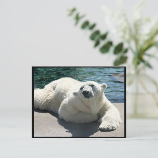 Arctisch Beer Briefkaart (Staand voorkant)