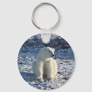 Arctisch Beer Sleutelhanger