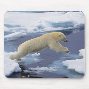 Arctisch gebied, Svalbard, Ijsbeer die zich uitstr Muismat