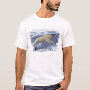 Arctisch, Svalbard, Ijsbeer strekt uit T-shirt