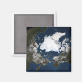 Arctisch zee magneet (Voorkant / Achterkant)