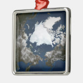 Arctisch zee metalen ornament (Links)