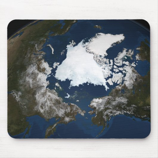 Arctisch zee muismat (Voorkant)