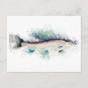 Arctische grijsvorming (Thymallus arcticus) Zalmku Briefkaart