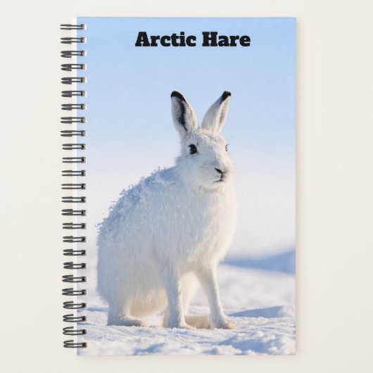 Arctische Haas Planner (Voorkant)