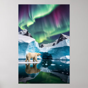 Arctische Natuur Aurora Iceberg Buitenlandschap Poster