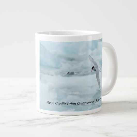 Arctische Terns 20 oz. Mok van RoseWrites (Voorkant rechts)