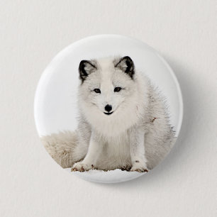 Arctische vos in de sneeuw ronde button 5,7 cm