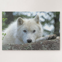 ARCTISCHE WOLF 20x30 INCH