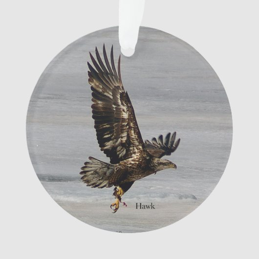 Arcylisch ornament van Hawk (voorkant)