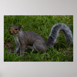 Are You Ready Poster