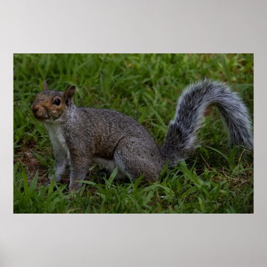 Are You Ready Poster (Voorkant)