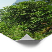 Arenal, Costa Rica Poster (Hoek)