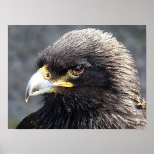 AREND POSTER (Voorkant)