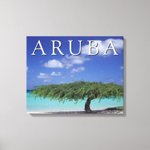 Arendstrand Caribisch gebied, Aruba Canvas Afdruk