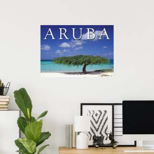 Arendstrand Caribisch gebied, Aruba Poster