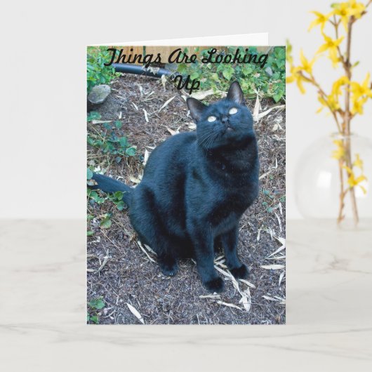 Arg Carte d'anniversaire 3 (Fleur jaune)