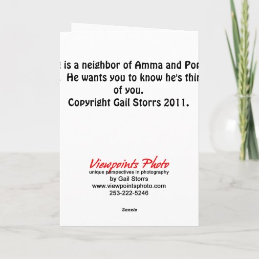 Arg Carte d'anniversaire 3 (Dos)