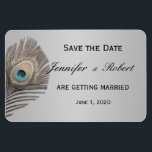 Argent Elegance Peacock Mariage Magnet<br><div class="desc">Ce magnifique et élégant design, appelé Mariage Silver Elegance, a un bel arrière - plan métallique en argent. Sur le côté gauche se trouve un magnifique panache en plumes de paon gris argenté. Ce serait parfait pour votre mariage ou événement ! Cet ensemble contient des invitations, enregistrer les cartes de...</div>