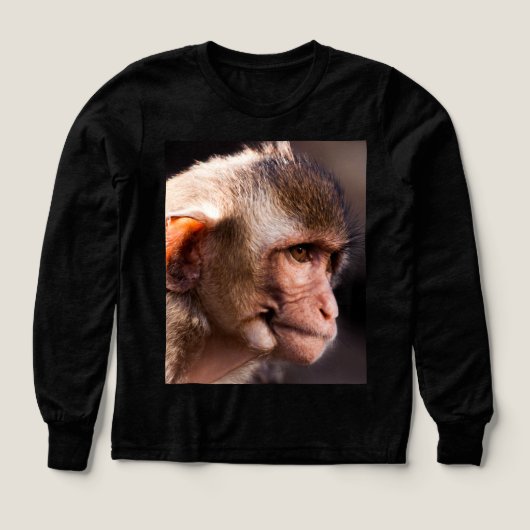 Argent sérieux - Conception de la déclaration de B (Motif recto)