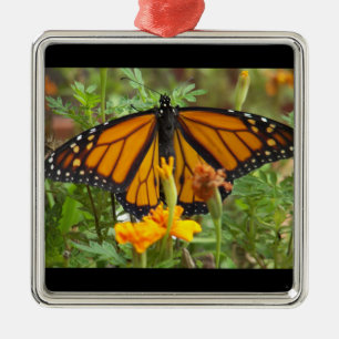 Argenté Mon ornement carré Monarch Butterfly-premium