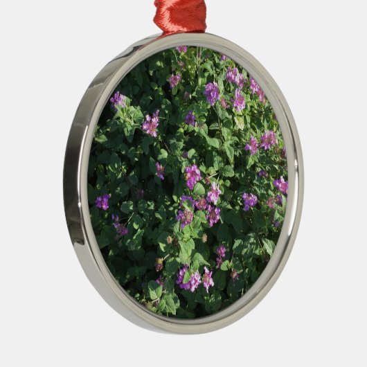 Argenté Ornement rond (Droite)