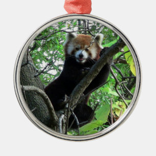 Argenté Ornement rond de la meilleure qualité de panda
